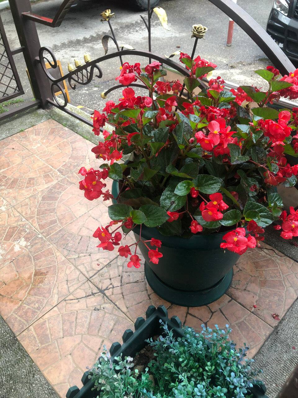 Фото Гостиницы Башня Кисловодск 56